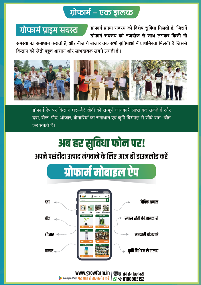 प्राइम सदस्य एवं ऐप image
